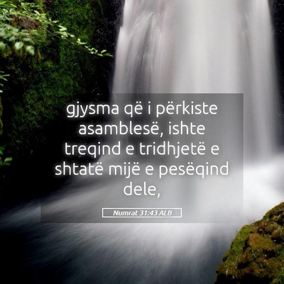 Picture 05 - Numrat 31:43 ALB - gjysma që i përkiste asamblesë, ishte treqind - Bible Verse Picture