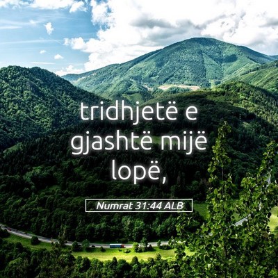 Picture 05 - Numrat 31:44 ALB - tridhjetë e gjashtë mijë - Bible Verse Picture