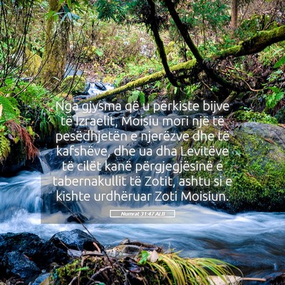 Picture 05 - Numrat 31:47 ALB - Nga gjysma që u përkiste bijve të Izraelit, - Bible Verse Picture