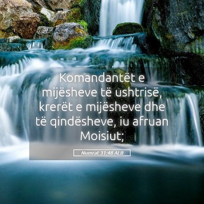 Picture 05 - Numrat 31:48 ALB - Komandantët e mijësheve të ushtrisë, krerët - Bible Verse Picture