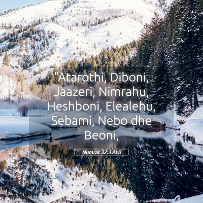 Picture 05 - Numrat 32:3 ALB - 