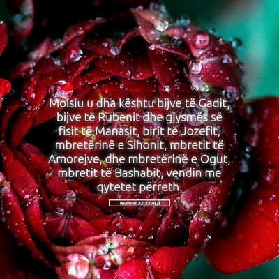 Picture 05 - Numrat 32:33 ALB - Moisiu u dha kështu bijve të Gadit, bijve të - Bible Verse Picture