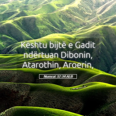 Picture 05 - Numrat 32:34 ALB - Kështu bijtë e Gadit ndërtuan Dibonin, - Bible Verse Picture