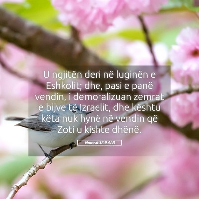 Picture 05 - Numrat 32:9 ALB - U ngjitën deri në luginën e Eshkolit; dhe, - Bible Verse Picture