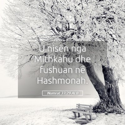 Picture 05 - Numrat 33:29 ALB - U nisën nga Mithkahu dhe fushuan në - Bible Verse Picture