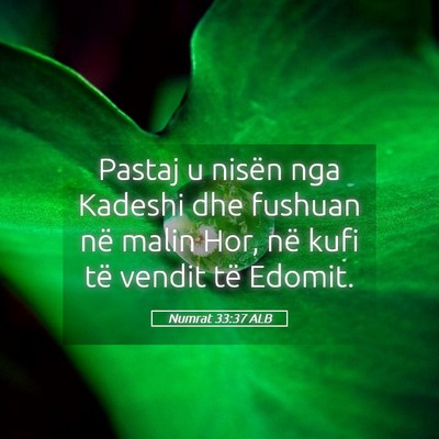 Picture 05 - Numrat 33:37 ALB - Pastaj u nisën nga Kadeshi dhe fushuan në malin - Bible Verse Picture