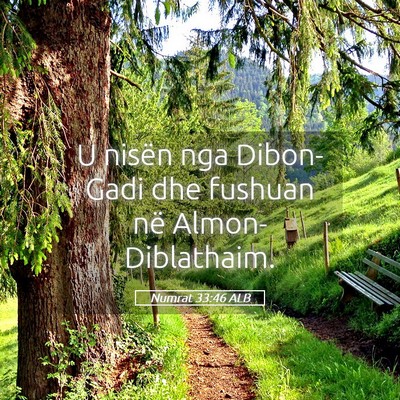 Picture 05 - Numrat 33:46 ALB - U nisën nga Dibon-Gadi dhe fushuan në - Bible Verse Picture