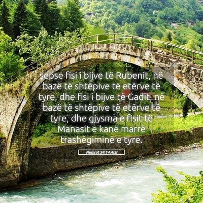 Picture 05 - Numrat 34:14 ALB - sepse fisi i bijve të Rubenit, në bazë të - Bible Verse Picture