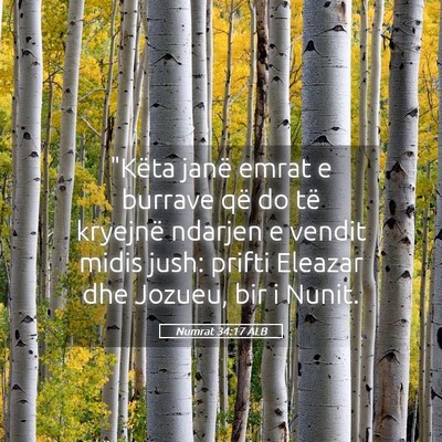 Picture 05 - Numrat 34:17 ALB - 