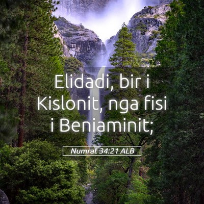 Picture 05 - Numrat 34:21 ALB - Elidadi, bir i Kislonit, nga fisi i - Bible Verse Picture