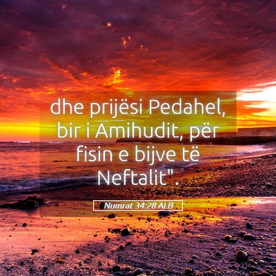 Picture 05 - Numrat 34:28 ALB - dhe prijësi Pedahel, bir i Amihudit, për fisin - Bible Verse Picture