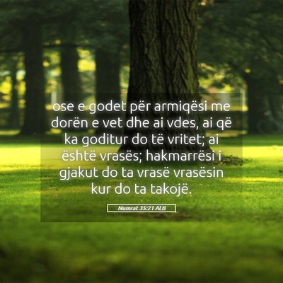 Picture 05 - Numrat 35:21 ALB - ose e godet për armiqësi me dorën e vet dhe ai - Bible Verse Picture