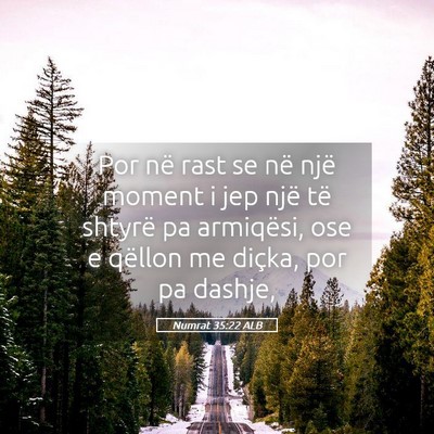 Picture 05 - Numrat 35:22 ALB - Por në rast se në një moment i jep një të - Bible Verse Picture