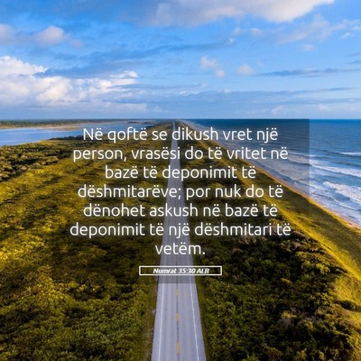 Picture 05 - Numrat 35:30 ALB - Në qoftë se dikush vret një person, vrasësi - Bible Verse Picture