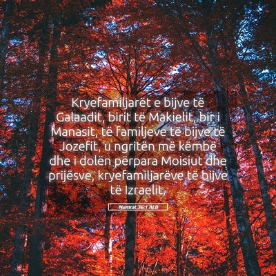 Picture 05 - Numrat 36:1 ALB - Kryefamiljarët e bijve të Galaadit, birit të - Bible Verse Picture