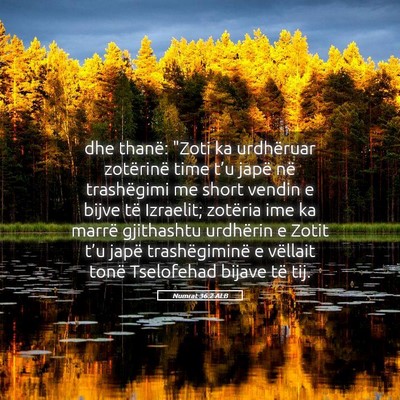 Picture 05 - Numrat 36:2 ALB - dhe thanë: 