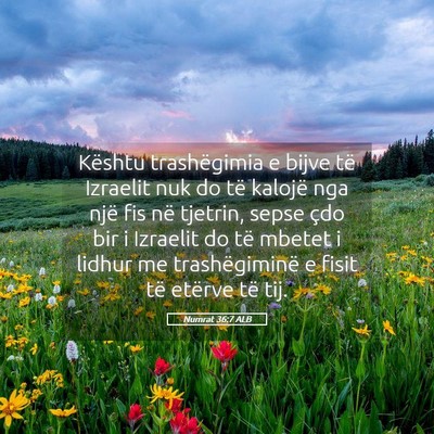 Picture 05 - Numrat 36:7 ALB - Kështu trashëgimia e bijve të Izraelit nuk do - Bible Verse Picture