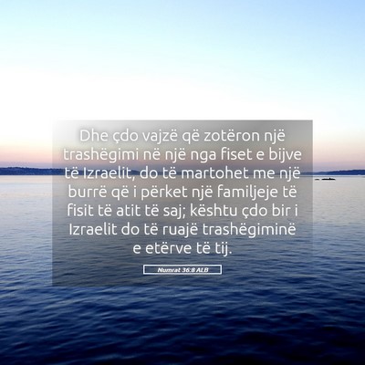 Picture 05 - Numrat 36:8 ALB - Dhe çdo vajzë që zotëron një trashëgimi në - Bible Verse Picture