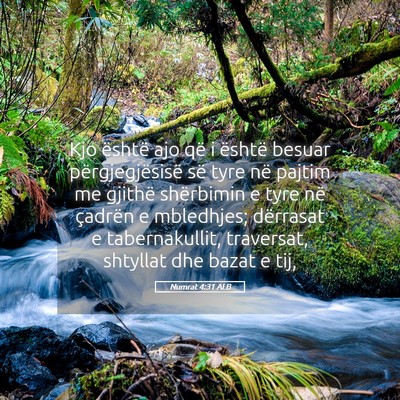 Picture 05 - Numrat 4:31 ALB - Kjo është ajo që i është besuar - Bible Verse Picture