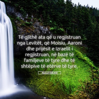 Picture 05 - Numrat 4:46 ALB - Të gjithë ata që u regjistruan nga Levitët, - Bible Verse Picture