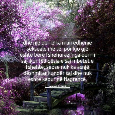 Picture 05 - Numrat 5:13 ALB - dhe një burrë ka marrëdhënie seksuale me të, - Bible Verse Picture