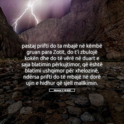 Picture 05 - Numrat 5:18 ALB - pastaj prifti do ta mbajë në këmbë gruan para - Bible Verse Picture