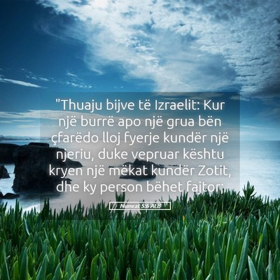 Picture 05 - Numrat 5:6 ALB - 