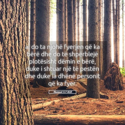 Picture 05 - Numrat 5:7 ALB - ai do ta njohë fyerjen që ka bërë dhe do të - Bible Verse Picture