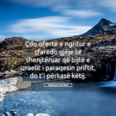 Picture 05 - Numrat 5:9 ALB - Çdo ofertë e ngritur e çfarëdo gjëje të - Bible Verse Picture