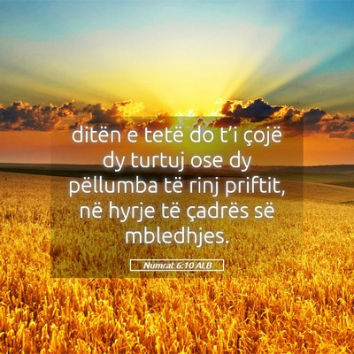 Picture 05 - Numrat 6:10 ALB - ditën e tetë do t’i çojë dy turtuj ose dy - Bible Verse Picture