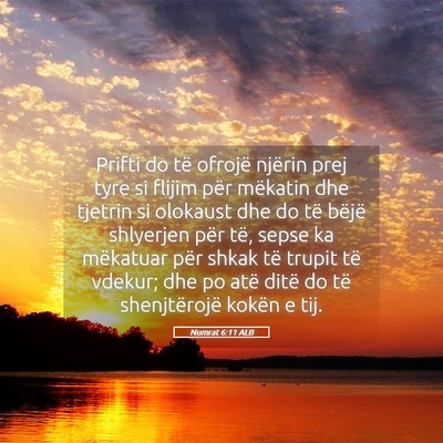 Picture 05 - Numrat 6:11 ALB - Prifti do të ofrojë njërin prej tyre si flijim - Bible Verse Picture