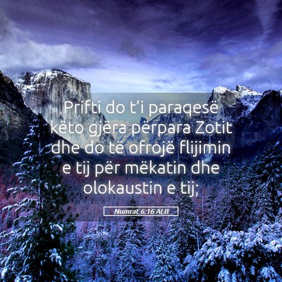 Picture 05 - Numrat 6:16 ALB - Prifti do t’i paraqesë këto gjëra përpara - Bible Verse Picture