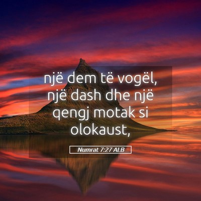Picture 05 - Numrat 7:27 ALB - një dem të vogël, një dash dhe një qengj - Bible Verse Picture