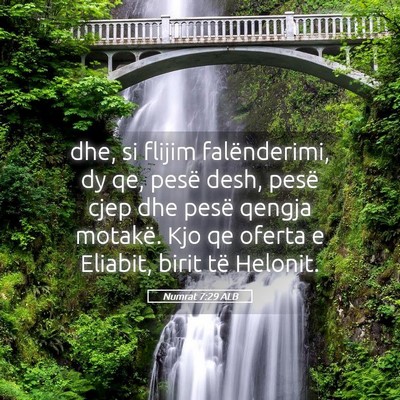 Picture 05 - Numrat 7:29 ALB - dhe, si flijim falënderimi, dy qe, pesë desh, - Bible Verse Picture