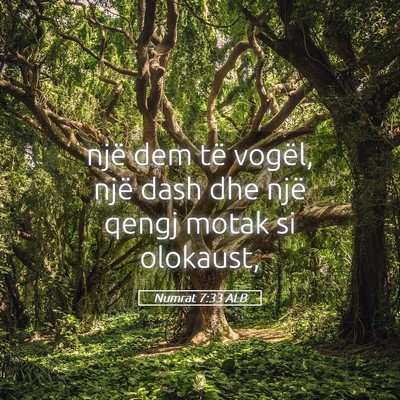 Picture 05 - Numrat 7:33 ALB - një dem të vogël, një dash dhe një qengj - Bible Verse Picture