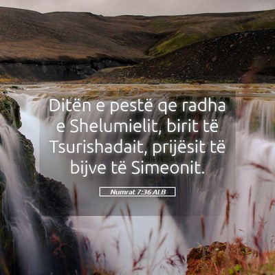 Picture 05 - Numrat 7:36 ALB - Ditën e pestë qe radha e Shelumielit, birit të - Bible Verse Picture