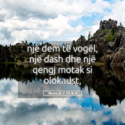 Picture 05 - Numrat 7:39 ALB - një dem të vogël, një dash dhe një qengj - Bible Verse Picture