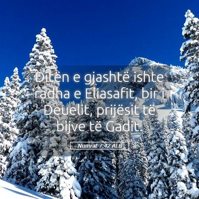 Picture 05 - Numrat 7:42 ALB - Ditën e gjashtë ishte radha e Eliasafit, bir i - Bible Verse Picture