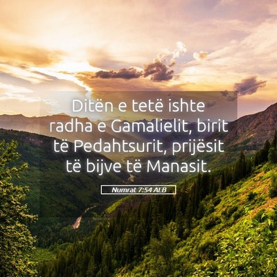 Picture 05 - Numrat 7:54 ALB - Ditën e tetë ishte radha e Gamalielit, birit - Bible Verse Picture