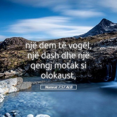 Picture 05 - Numrat 7:57 ALB - një dem të vogël, një dash dhe një qengj - Bible Verse Picture