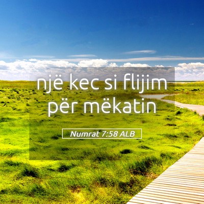 Picture 05 - Numrat 7:58 ALB - një kec si flijim për - Bible Verse Picture