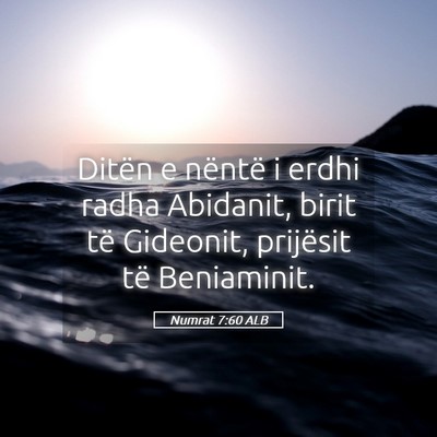 Picture 05 - Numrat 7:60 ALB - Ditën e nëntë i erdhi radha Abidanit, birit - Bible Verse Picture