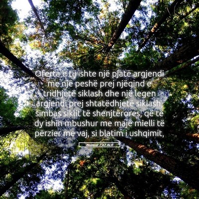 Picture 05 - Numrat 7:67 ALB - Oferta e tij ishte një pjatë argjendi me një - Bible Verse Picture