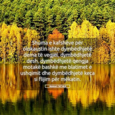 Picture 05 - Numrat 7:87 ALB - Shuma e kafshëve për olokaustin ishte - Bible Verse Picture