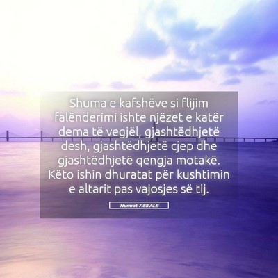 Picture 05 - Numrat 7:88 ALB - Shuma e kafshëve si flijim falënderimi ishte - Bible Verse Picture
