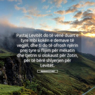Picture 05 - Numrat 8:12 ALB - Pastaj Levitët do të vënë duart e tyre mbi - Bible Verse Picture