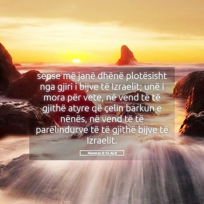 Picture 05 - Numrat 8:16 ALB - sepse më janë dhënë plotësisht nga gjiri i - Bible Verse Picture