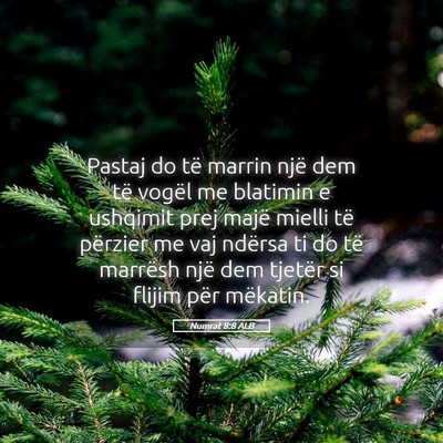 Picture 05 - Numrat 8:8 ALB - Pastaj do të marrin një dem të vogël me - Bible Verse Picture