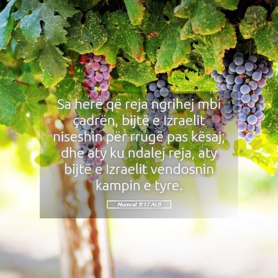Picture 05 - Numrat 9:17 ALB - Sa herë që reja ngrihej mbi çadrën, bijtë e - Bible Verse Picture
