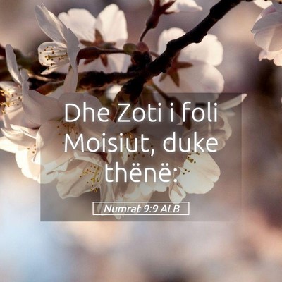 Picture 05 - Numrat 9:9 ALB - Dhe Zoti i foli Moisiut, duke - Bible Verse Picture